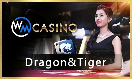 55bmw Bingo Community